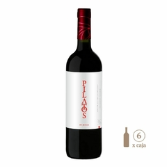 Pilatos by Judas Cofermentado de Malbec (6 botellas x 750 cc) - tienda online