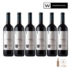 Lamadrid Gran Reserva Cabernet Franc (6 botellas x 750 cc) - WINEMENDOZA | Comprar vino online en Argentina - Vinoteca online