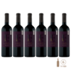 Exploración Malbec Chacayes (6 botellas x 750 cc)