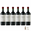 Seis botellas de vino tinto Magna Finca Malbec de 750 cc, con etiquetas destacadas.