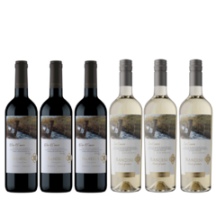 Combo Vinos Finca Bandini Tinto y Blanco (6 botellas x 750cc)