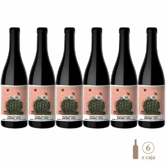 Seis botellas de vino Malbec Gualtallary de Matías Riccitelli, con etiqueta ilustrativa de un cactus y flores.