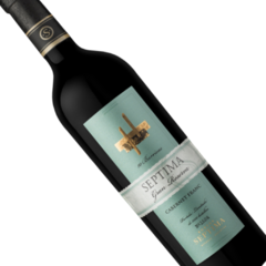 Séptima 10 Barricas Cabernet Franc (6 botellas x 750 cc) - comprar online