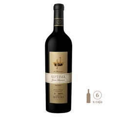 Séptima 10 Barricas Malbec (6 botellas x 750 cc) - tienda online