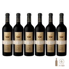 Seis botellas de vino tinto Séptima 10 Barricas Malbec de 750 cc cada una.