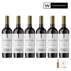 Séptima Emblema Cabernet Sauvignon (6 botellas x 750 cc) - WINEMENDOZA | Comprar vino online en Argentina - Vinoteca online