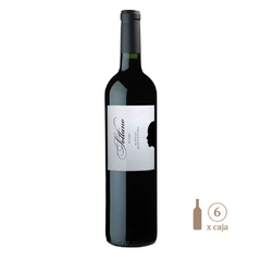 Sottano Blend (6 botellas x 750 cc) - loja online