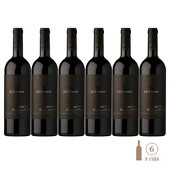 Sottano Reserva de Familia Malbec (6 botellas x 750 cc)