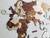 Wooden Travel Map World Puzzle - Tricolor Vintage - comprar en línea