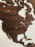 Imagen de Wooden Travel Map World - Hazelnut