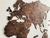Wooden Travel Map World - Hazelnut