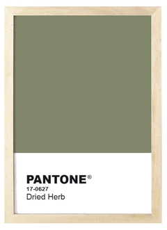 Cuadro Pantone Dried Herb