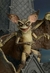 NECA - Gremlins 2 Bat Gremlin - comprar online