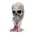 Metallica - Skull Sad But True (22CM)