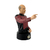 Bustos Star Trek: Captain Picard - Edição 10 na internet