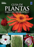 Livro Guia de Plantas Para Uso Paisagístico - Volume 2 - comprar online