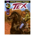 HQ Tex Edição Especial Colorida: 4 Histórias Inéditas e Completas - Edição 08