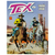 HQ Tex: Coração Apache - Edição 591