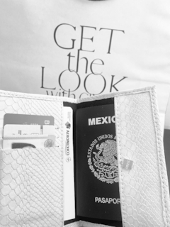 THE PASSPORT COVER - comprar en línea