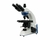 Microscópio Trinocular Acromático Série Blue 1600X TA-L-BAT com preparo para Bateria - comprar online