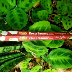 Incenso Rosa Branca - Bic Brand - loja online