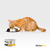 COMBO 3: CLEAN CAT PACK X 6 + ALIMENTO HUMEDO GATOS PACK X 12 - tienda online