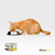 Alimento Húmedo Mister Pet Gato adulto - sabor Pescado / Lata 90gr X12u en internet