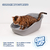 COMBO 3: CLEAN CAT PACK X 6 + ALIMENTO HUMEDO GATOS PACK X 12 en internet