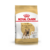 Royal Canin Perros Adultos Bulldog Frances