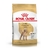 Royal Canin Caniche Poodle Adulto