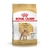 Royal Canin Caniche Adulto x 7.5 kg