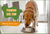 Banner de Zira Pet & Vet - Tienda De Mascotas Online