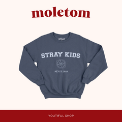 MOLETOM BORDADO - STRAY KIDS SINCE 2018 na internet