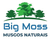 Musgo Esfagno 1kg (40 Litros) - Big Moss