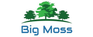 Big Moss