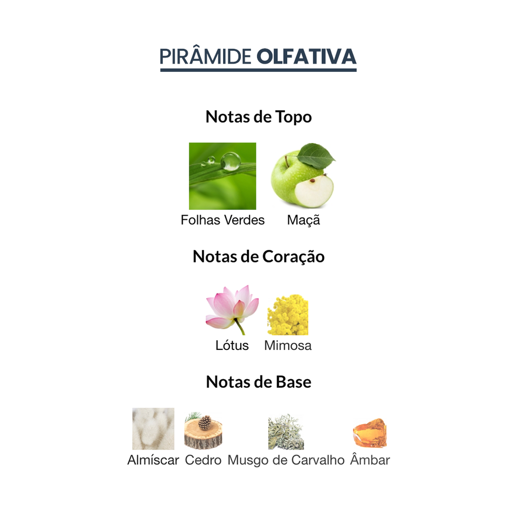 Nautica voyage notas sale