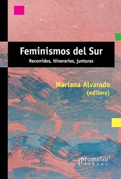 FEMINISMOS DEL SUR. Recorridos