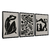 Quadro Decorativo 3 Telas Henry Matisse Escultura PB - loja online