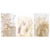 Kit 3 Quadros Decorativos Floral Provence na internet