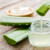 Puro Gel Multifuncional Natural de Aloe 210ml – Livealoe - comprar online