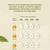 Óleo Essencial de Ylang Ylang Completo 5ml - Terra Flor