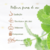 Óleo Essencial de Lemongrass Orgânico - 5ml - WNF - comprar online