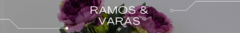 Banner de la categoría Ramos-Varas
