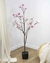 Árbol Magnolia 110Cm - comprar online