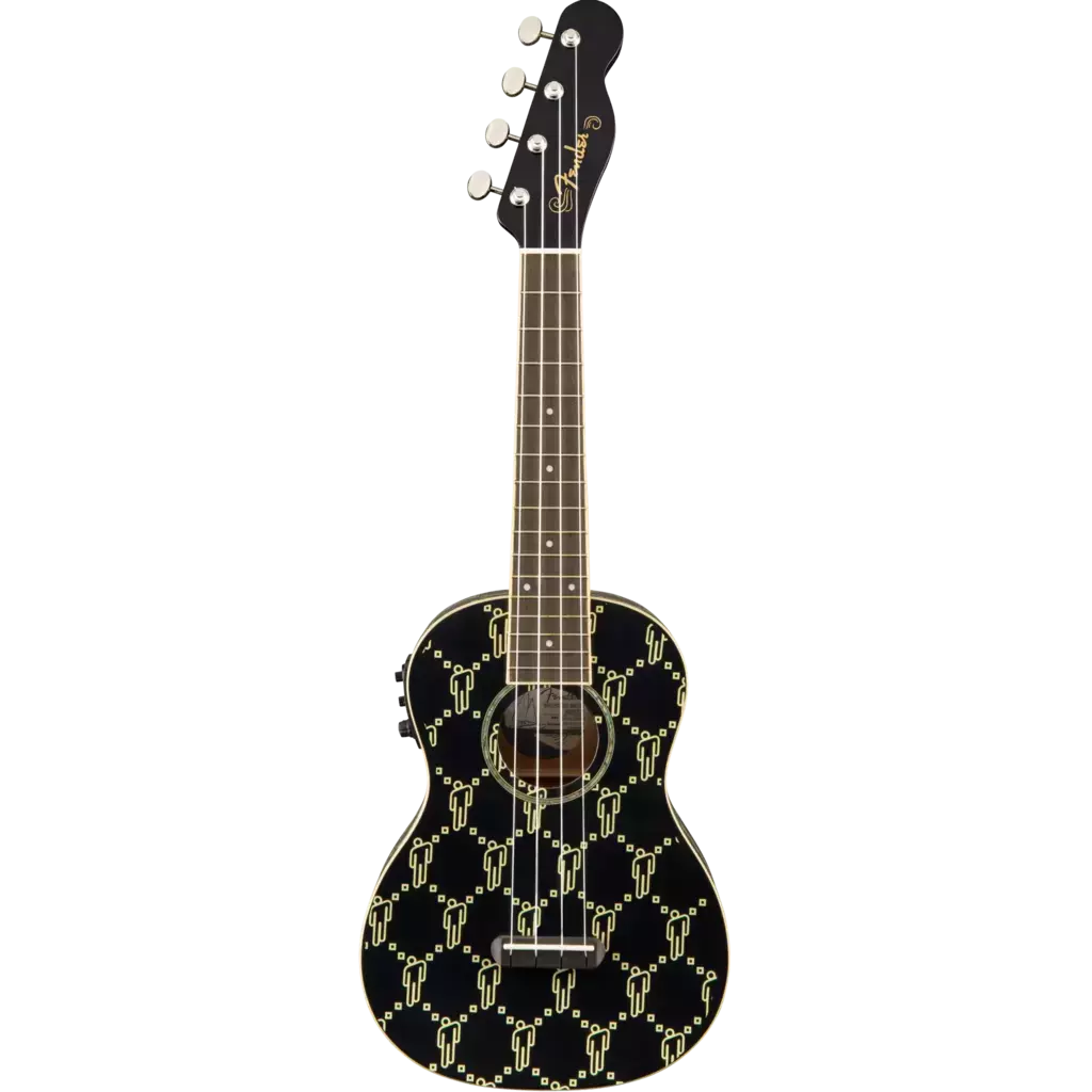 Fender x billie eilish 2025