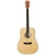 Guitarra Acústica SX SD104 Dreadnought Natural Mate