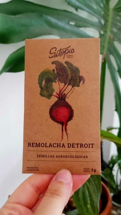 Semillas Remolacha Detroit