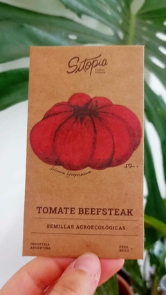 Semillas Tomate Beefsteak