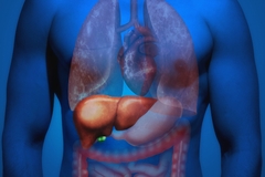 HEPATOBILE (Fígado/V. Biliar) na internet
