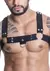 HARNESS EM ELASTICO PRETO COM METAL